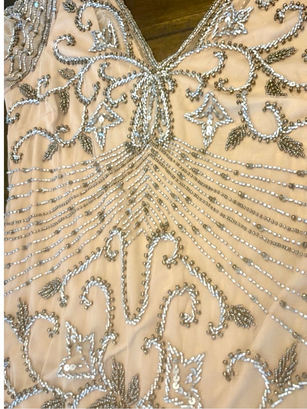 Pisarro Nights Blush Nude Silver Beaded Longline Gown NWT 10 - Picture 11 of 15